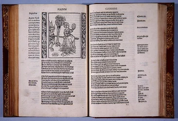 Di orgoglio prepotente, da This Present boke named The shyp of folys, di Sebastian Brandt, stampato da Richard Pynson, 1509